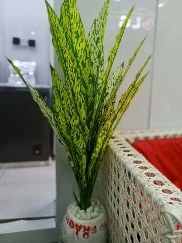 Artificial Snake Plant