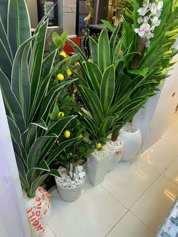 Assorted Artificial Plants