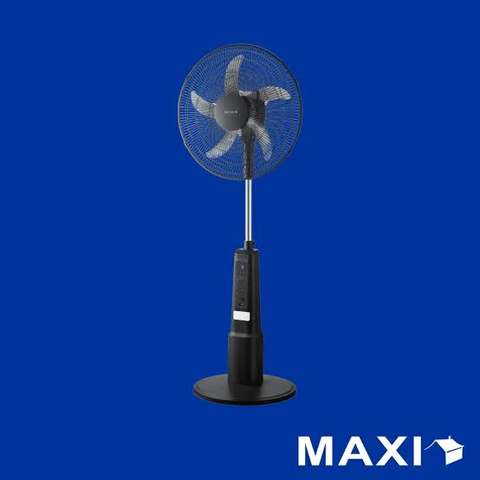 Standing Fan